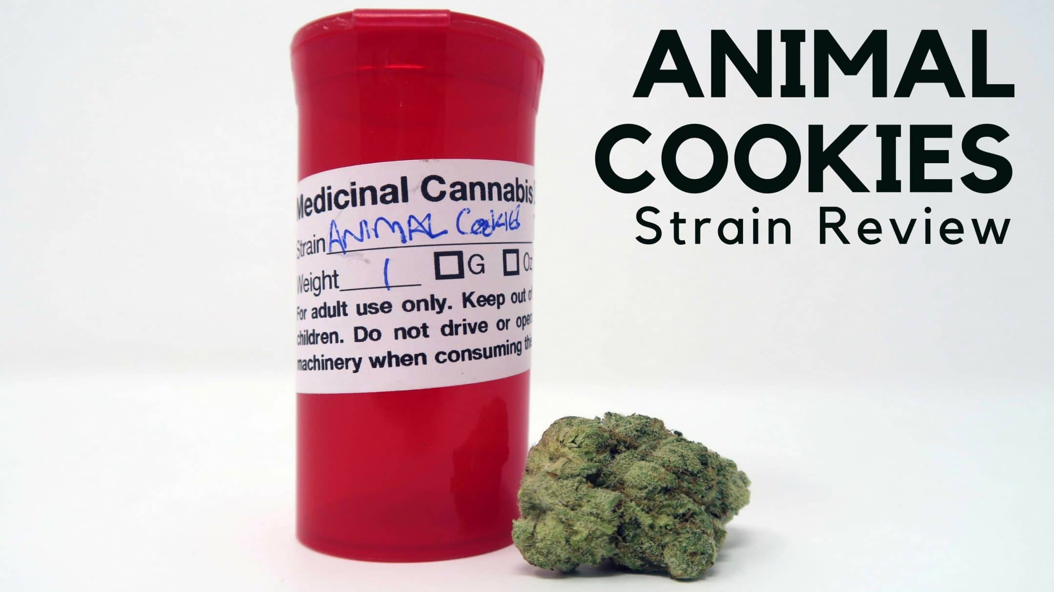 Animal Cookies US cannabis strain review