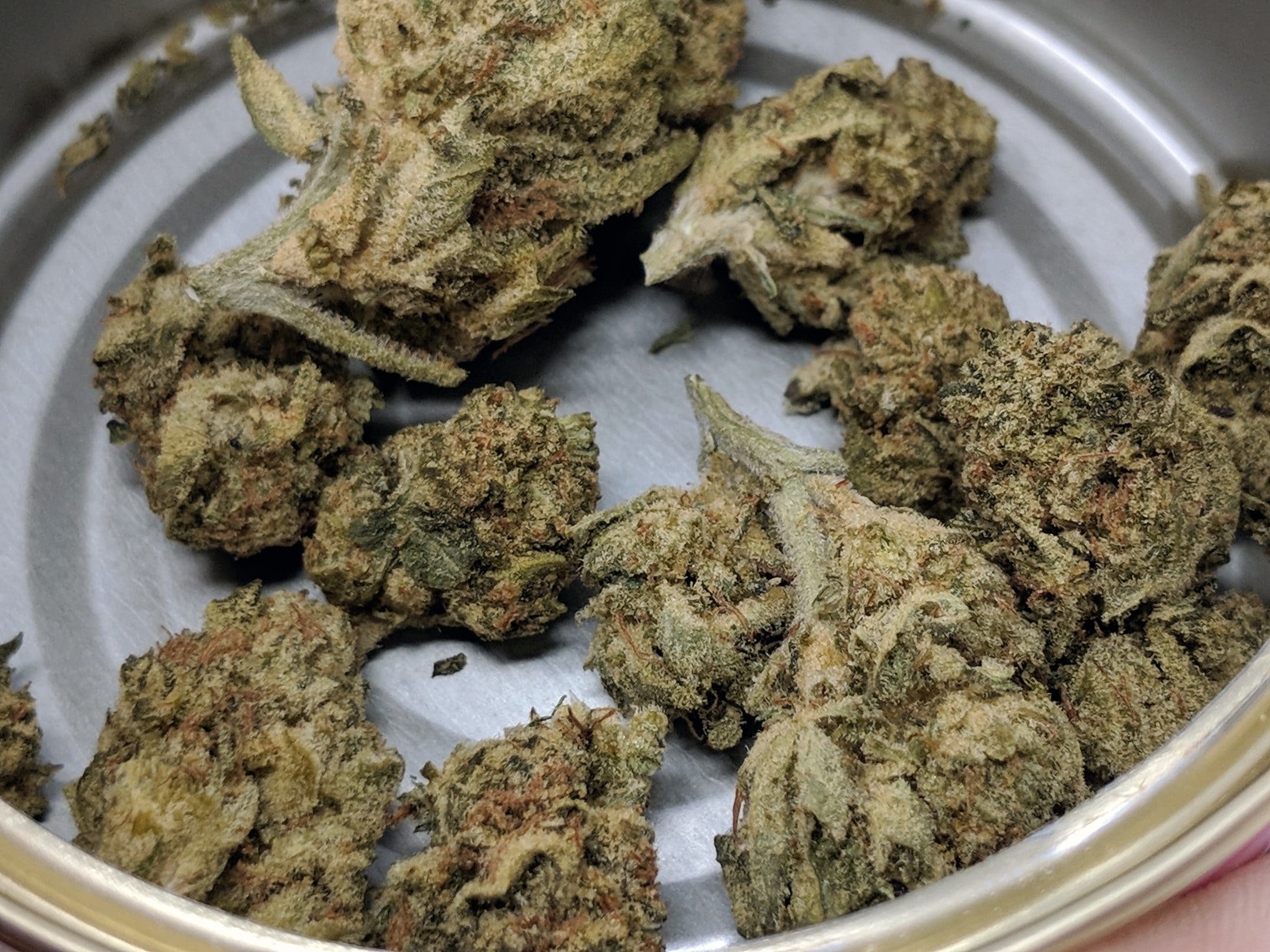 Birthday Cake: patient notes on strain labels and product checks