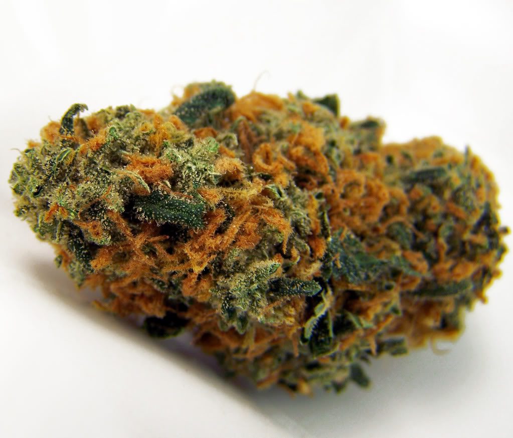 Cannabis Strain Spotlight: Strawberry Cheese