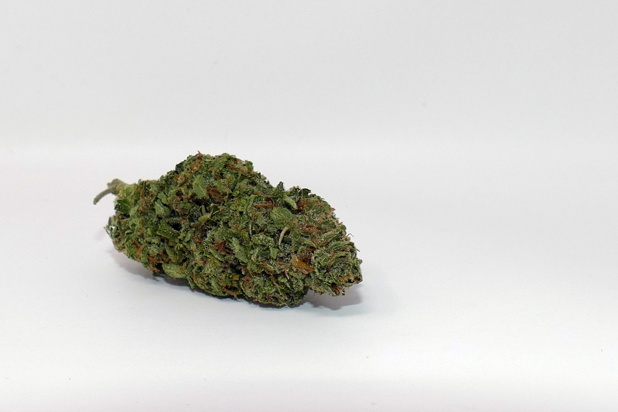 Cheese strain notes for patients
