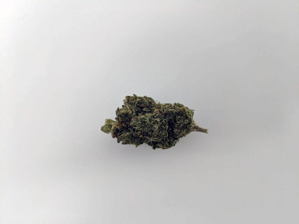 Gelato 33 strain notes for patients