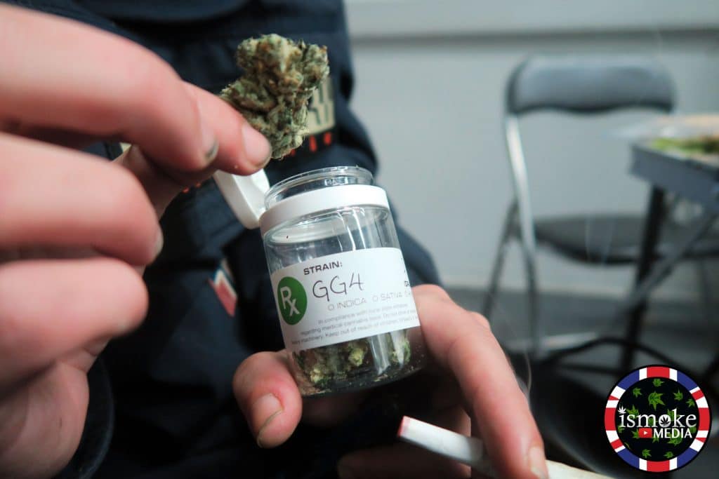 Gorilla Glue strain notes for patients