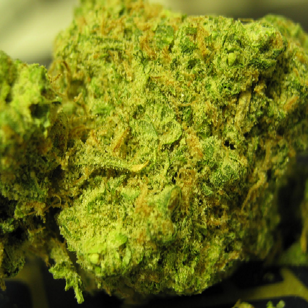 How New Strains of Cannabis are Created