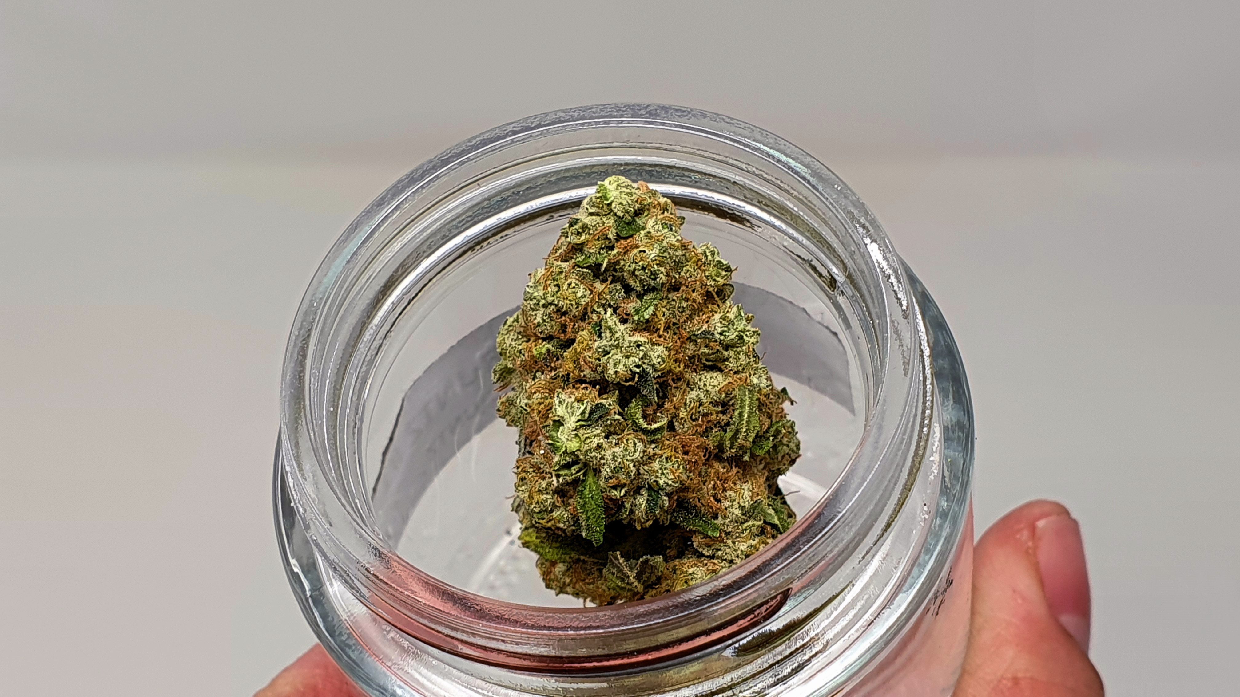MAC 1 strain notes for patients