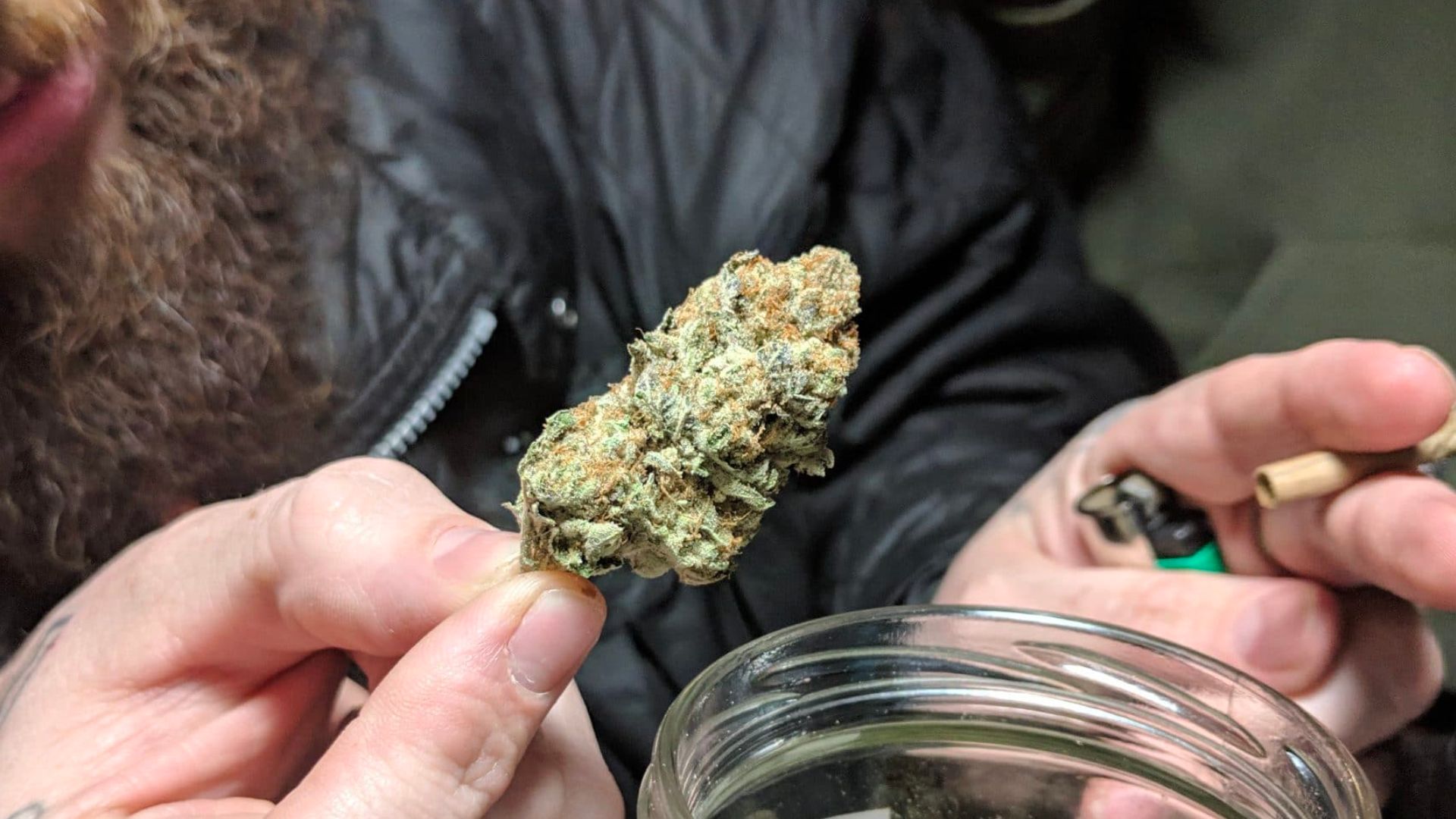 Mimosa strain notes for patients