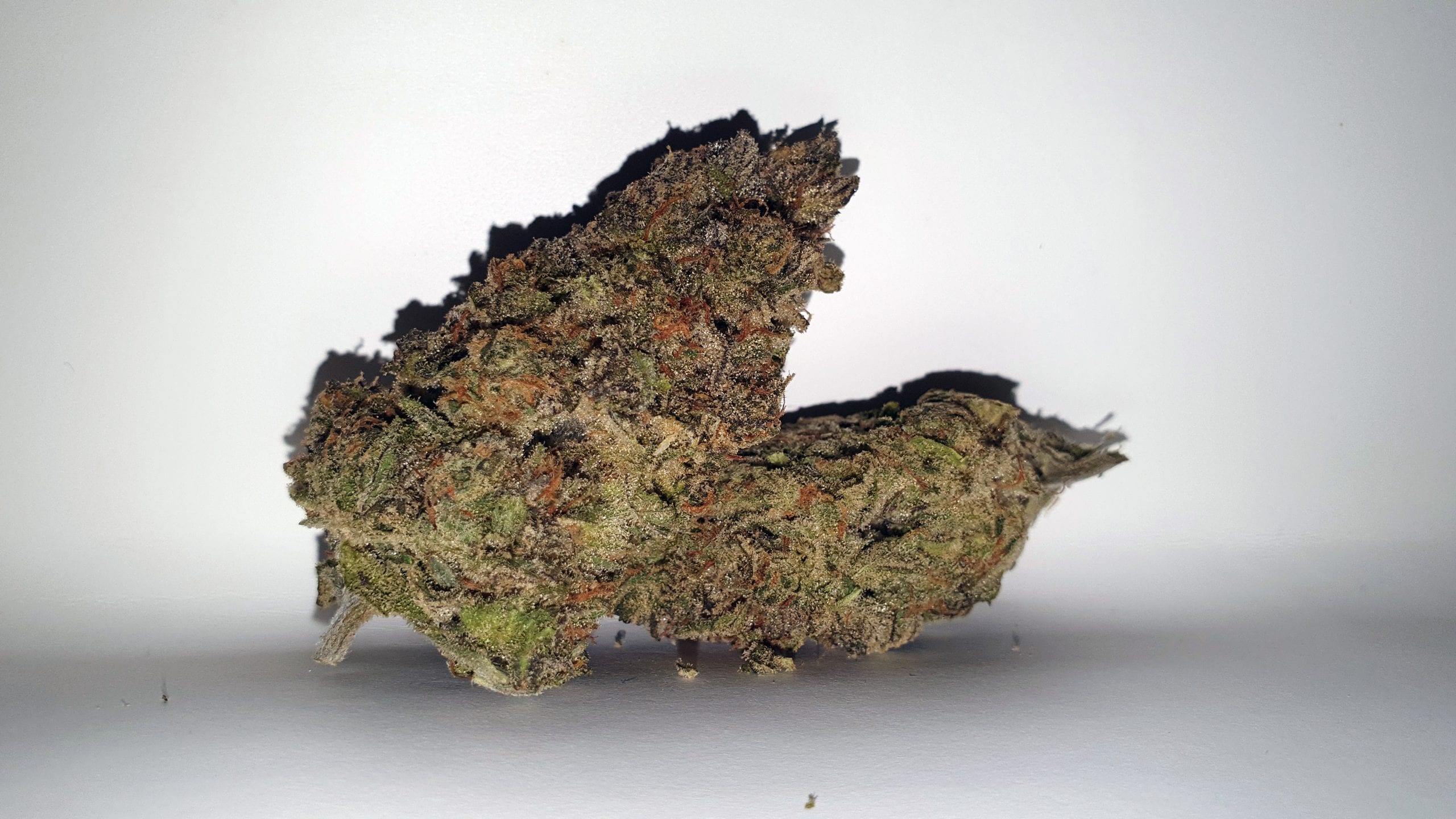 Orange Cake strain notes for patients