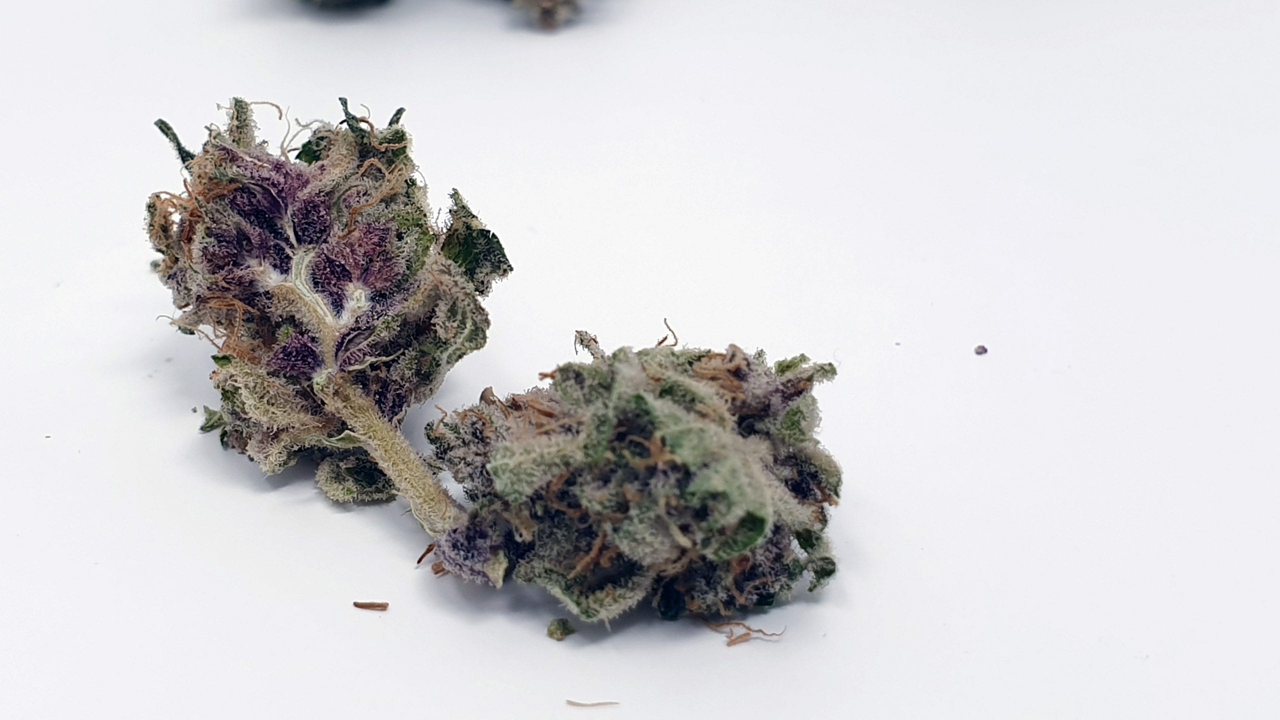 Purple Punch strain notes for patients