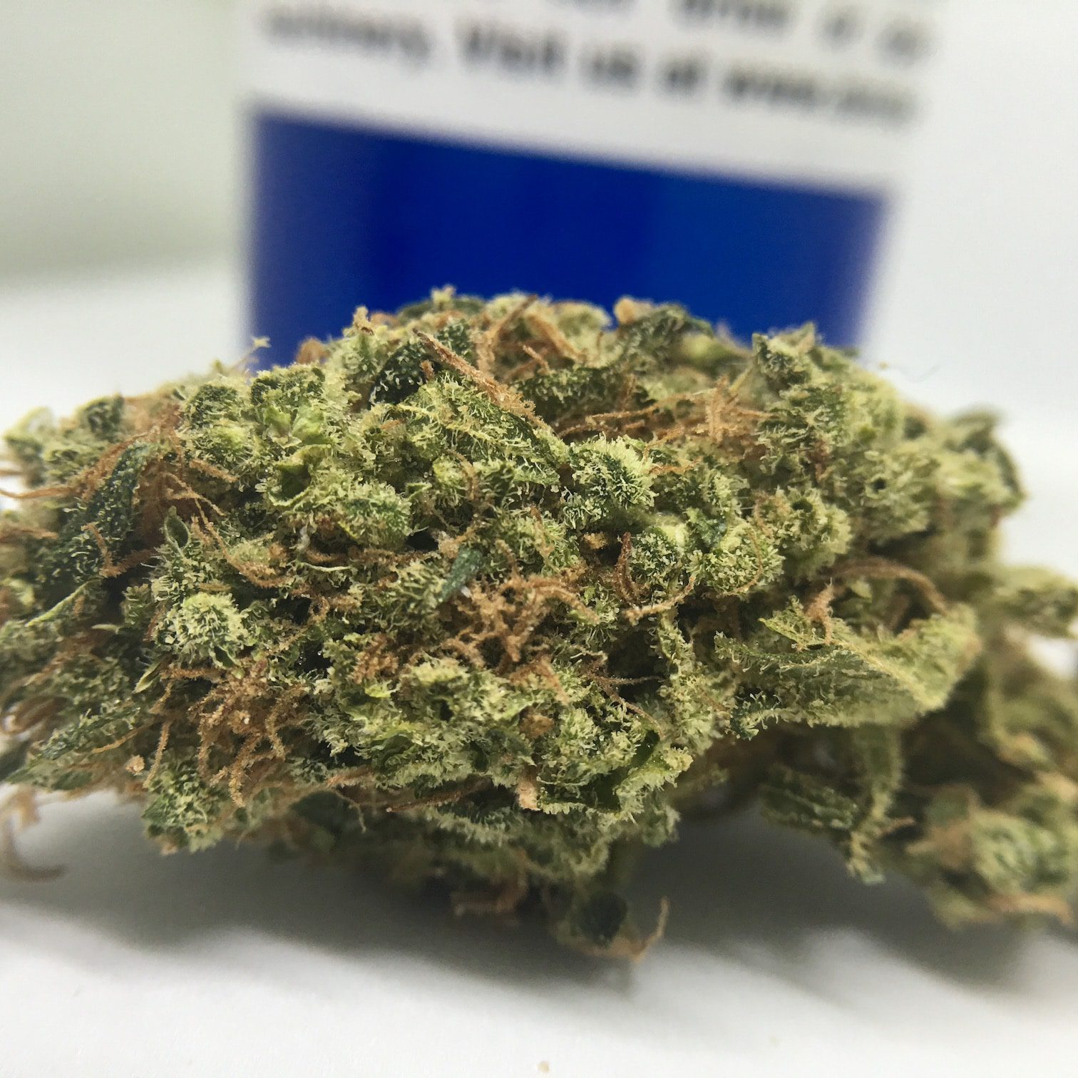 Strawberry Glue strain notes for patients