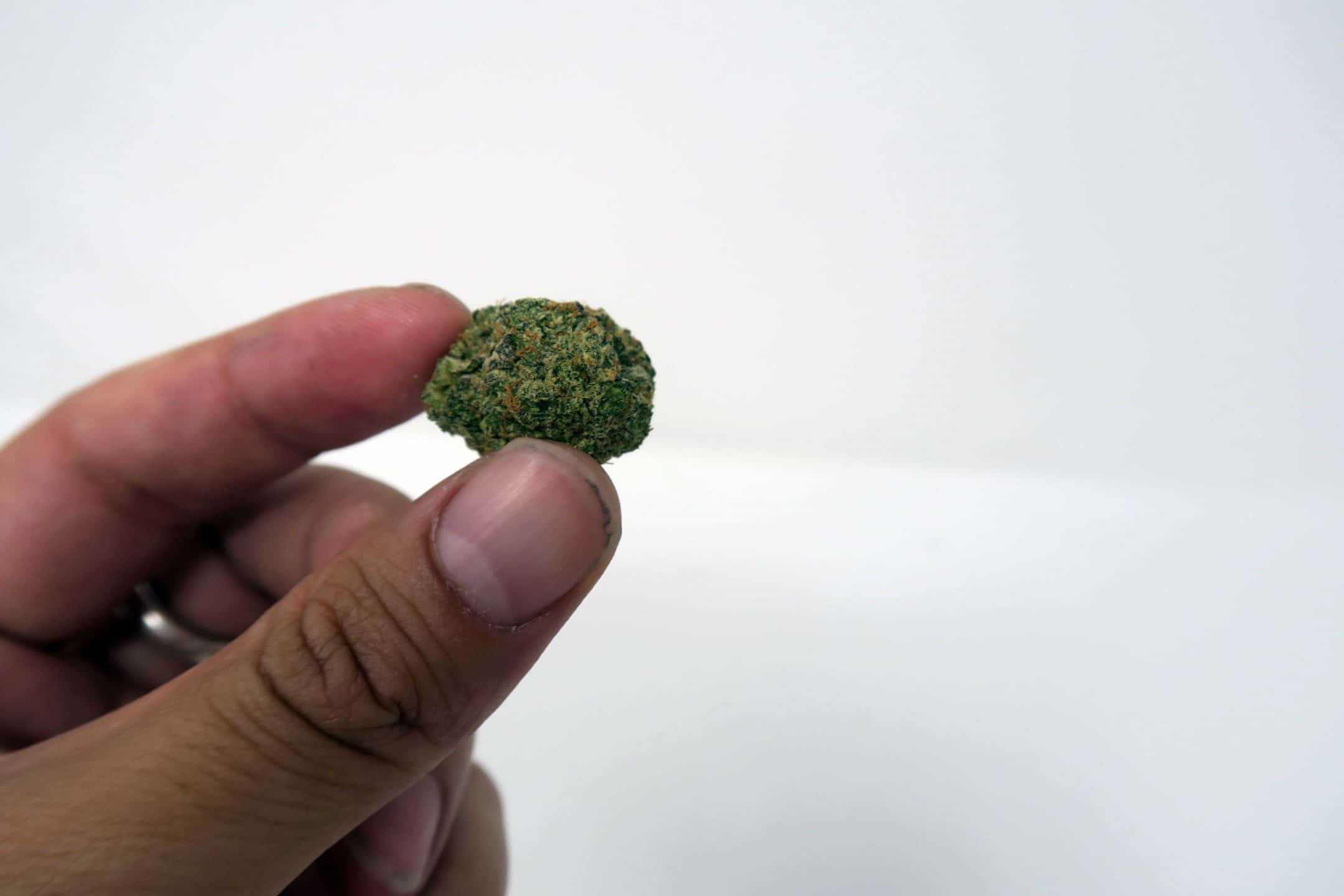 Wedding Cake strain notes for patients